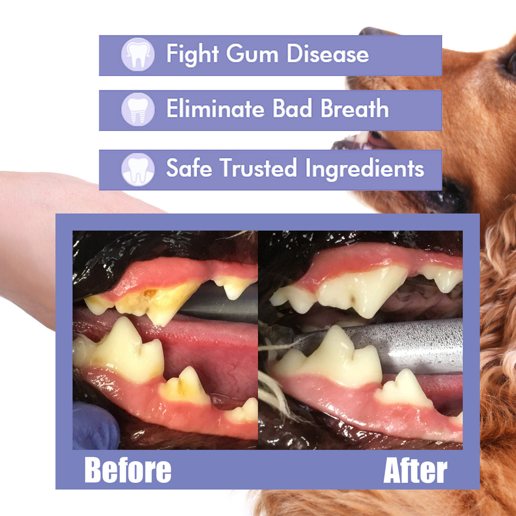 Pet Dental Care Breath Freshener Spray