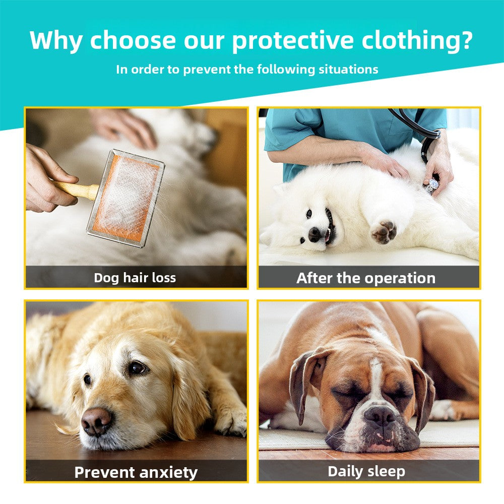 Pet Recovery Suit Post Surgery Bodysuit