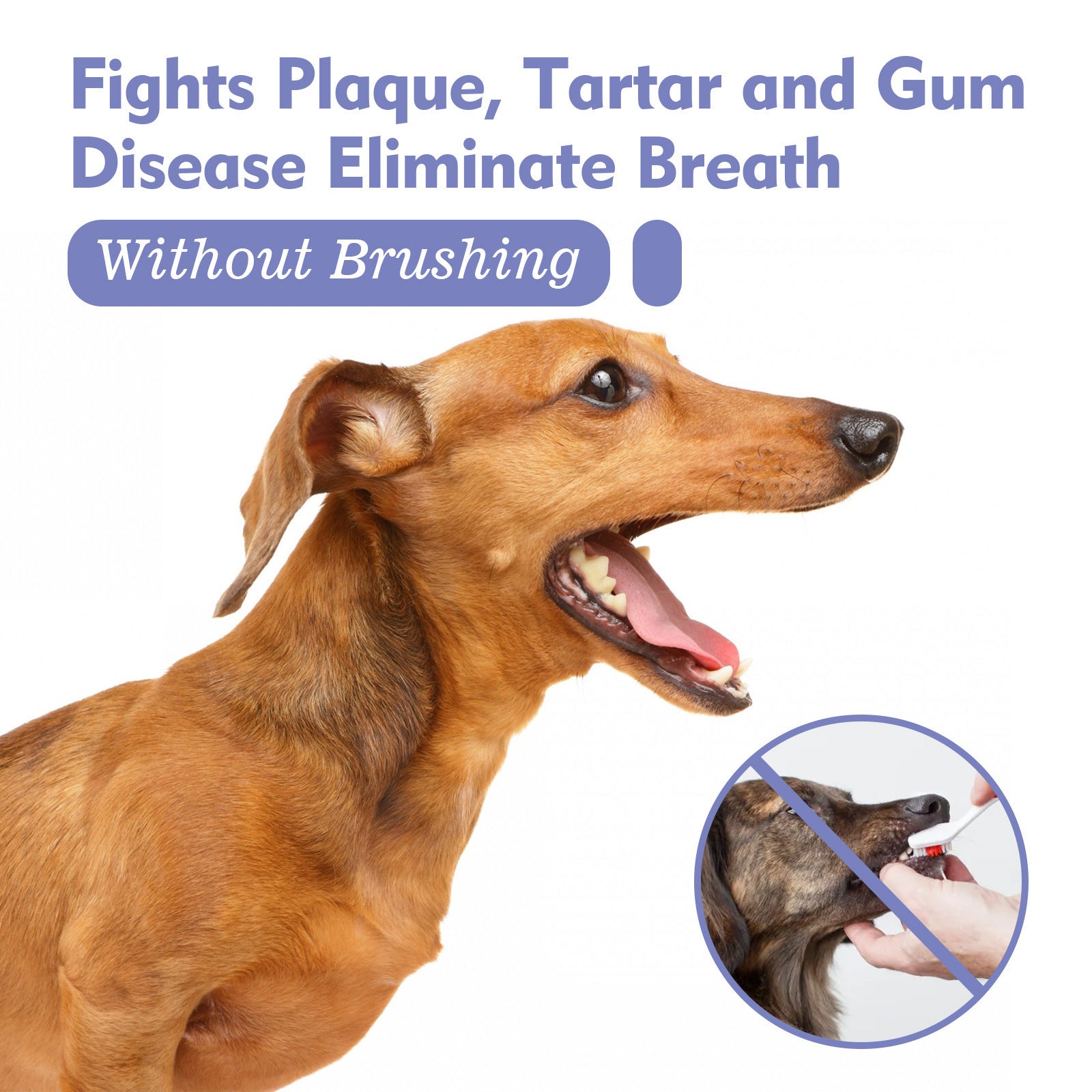 Pet Dental Care Breath Freshener Spray