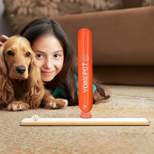 Pet Hair Remover for Carpets & Rugs Carpet and Rug Pet Hair Removal