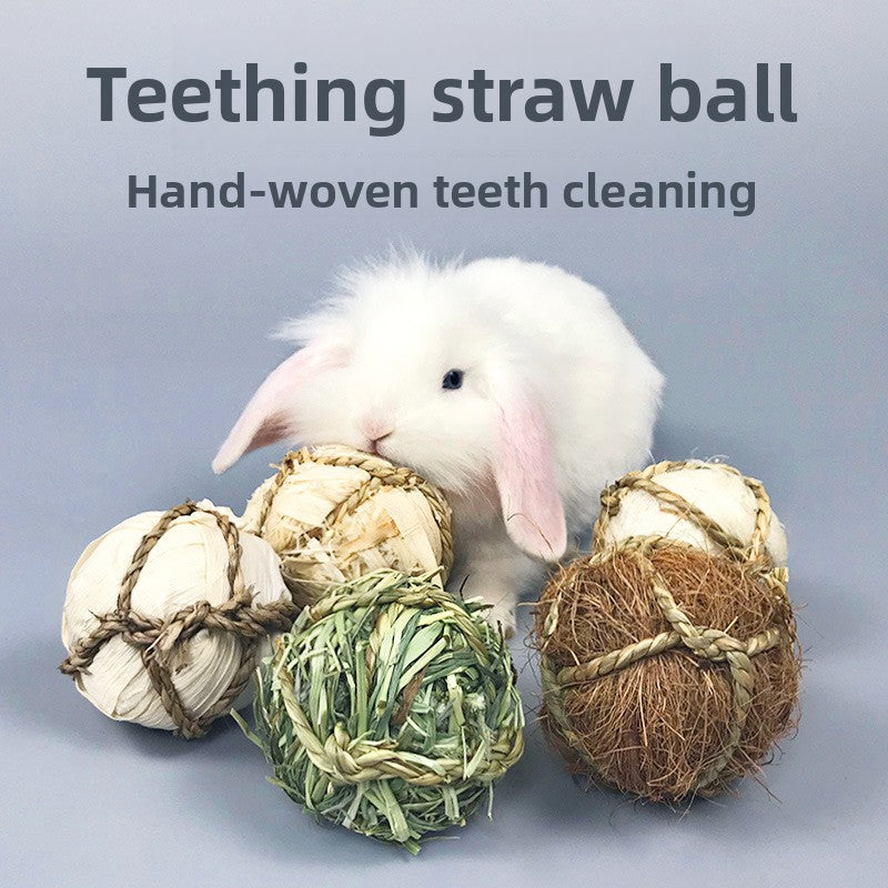 Handmade Grass Chew Balls for Small Pets